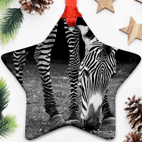 Zebra Ornament (Star) from ArtsNow.com Front