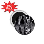 Zebra 1.75  Magnet (100 pack) 