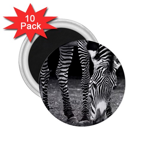 Zebra 2.25  Magnet (10 pack) from ArtsNow.com Front