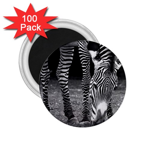 Zebra 2.25  Magnet (100 pack)  from ArtsNow.com Front