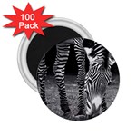 Zebra 2.25  Magnet (100 pack) 