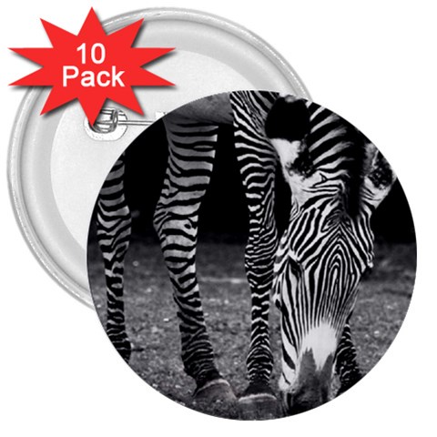 Zebra 3  Button (10 pack) from ArtsNow.com Front