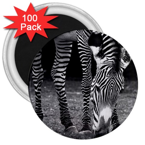 Zebra 3  Magnet (100 pack) from ArtsNow.com Front