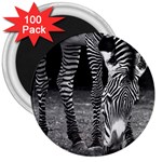 Zebra 3  Magnet (100 pack)