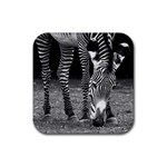 Zebra Rubber Coaster (Square)