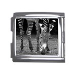 Zebra Mega Link Italian Charm (18mm)