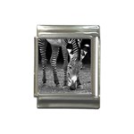 Zebra Italian Charm (13mm)