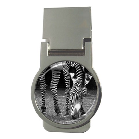 Zebra Money Clip (Round) from ArtsNow.com Front