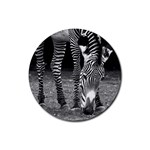 Zebra Rubber Coaster (Round)
