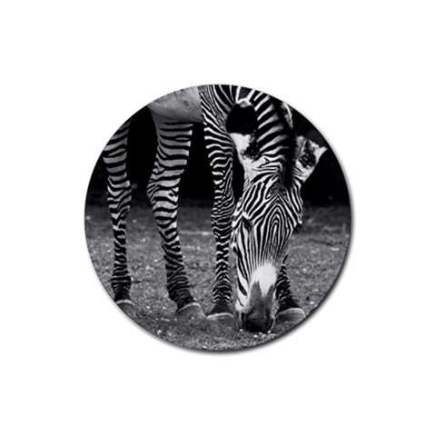 Zebra Rubber Round Coaster (4 pack) from ArtsNow.com Front