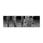 Zebra Sticker (Bumper)