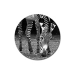 Zebra Magnet 3  (Round)