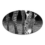 Zebra Magnet (Oval)