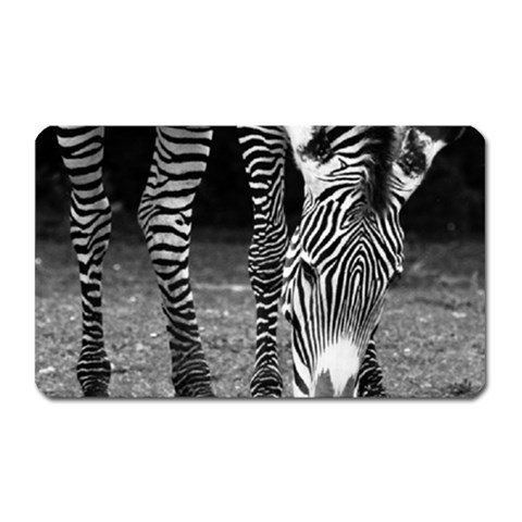 Zebra Magnet (Rectangular) from ArtsNow.com Front