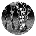 Zebra Magnet 5  (Round)