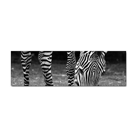 Zebra Sticker Bumper (10 pack) from ArtsNow.com Front