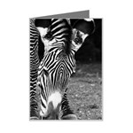 Zebra Mini Greeting Card