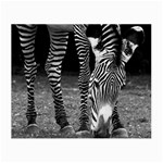 Zebra Small Glasses Cloth