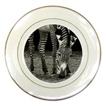 Zebra Porcelain Plate
