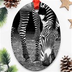 Zebra Oval Ornament (Two Sides)