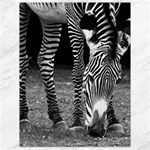 Zebra Canvas 18  x 24 