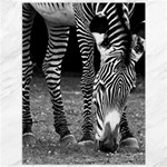 Zebra Canvas 36  x 48 