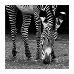 Zebra Medium Glasses Cloth