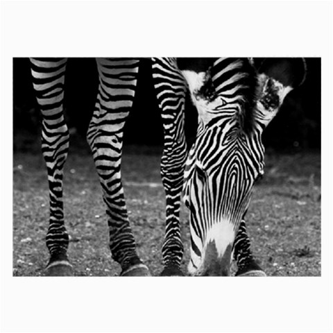 Zebra Large Glasses Cloth from ArtsNow.com Front