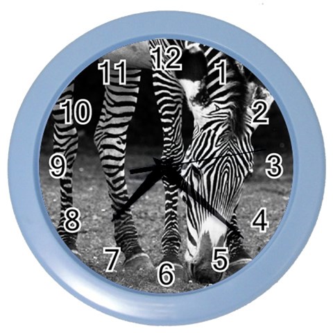 Zebra Color Wall Clock from ArtsNow.com Front