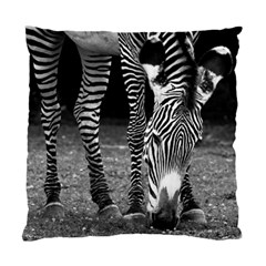 Zebra Standard Cushion Case (Two Sides) from ArtsNow.com Back