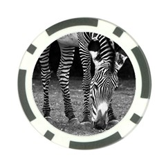 Zebra Poker Chip Card Guard (10 pack) from ArtsNow.com Back