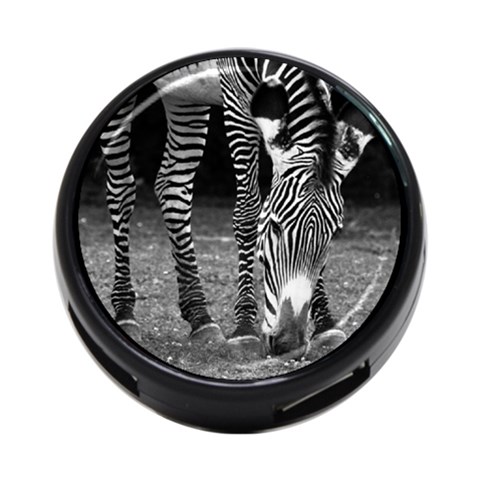 Zebra 4 Front