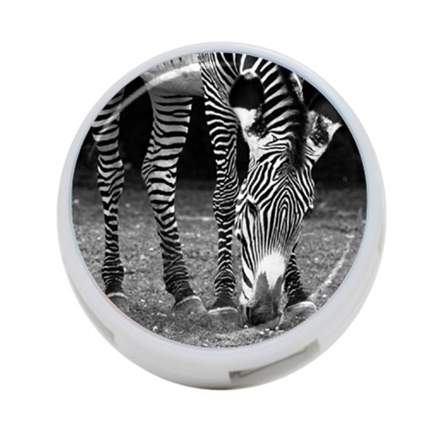 Zebra 4 Front