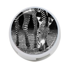 Zebra 4 Back