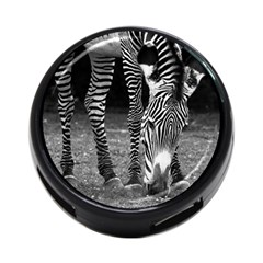 Zebra 4 Back