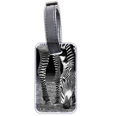 Zebra Luggage Tag (two sides) from ArtsNow.com Front
