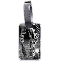 Zebra Luggage Tag (two sides) from ArtsNow.com Back