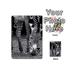 Zebra Playing Cards 54 (Mini)