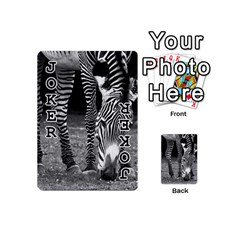 Zebra Playing Cards 54 (Mini) from ArtsNow.com Front - Joker1