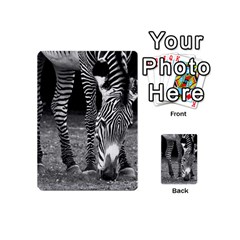 Zebra Playing Cards 54 (Mini) from ArtsNow.com Back