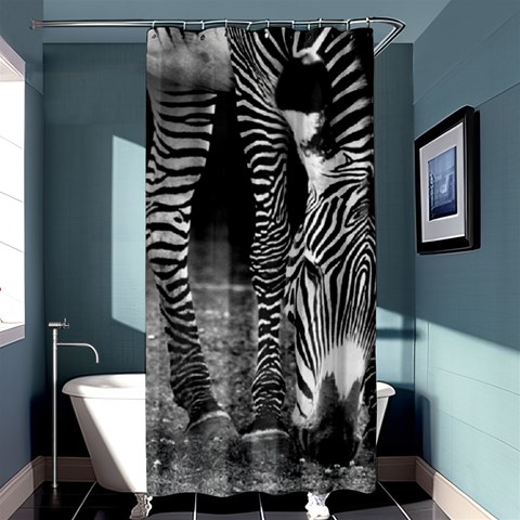 Zebra Shower Curtain 36  x 72  (Stall) from ArtsNow.com Curtain(36 X72 ) - 33.26 x66.24  Curtain(36 X72 )