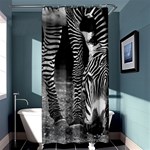 Zebra Shower Curtain 36  x 72  (Stall)