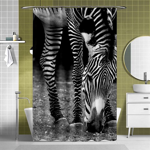 Zebra Shower Curtain 48  x 72  (Small) from ArtsNow.com Curtain(48  X 72 ) - 42.18 x64.8  Curtain(48  X 72 )