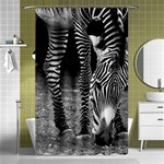 Zebra Shower Curtain 48  x 72  (Small)