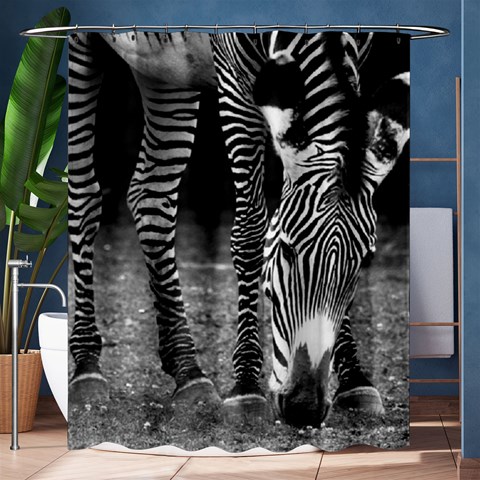 Zebra Shower Curtain 60  x 72  (Medium) from ArtsNow.com 60 x72  Curtain