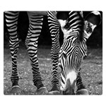 Zebra Double Sided Flano Blanket (Small)