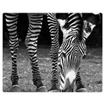 Zebra Double Sided Flano Blanket (Medium)