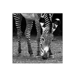 Zebra Satin Bandana Scarf