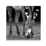 Zebra Small Satin Scarf (Square)