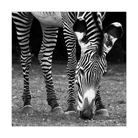 Zebra Square Tapestry (Large) from ArtsNow.com Front